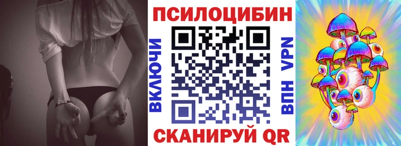 как найти закладки  Верея  Галлюциногенные грибы Cubensis 